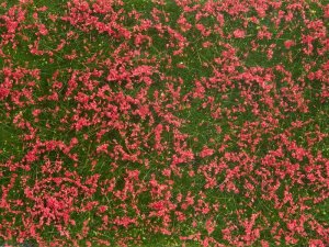 NOCH 07257 - Foliage mat red meadow