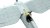 IBG-72521-PZL-IAR P.11F Romanian Fighter (3).jpg