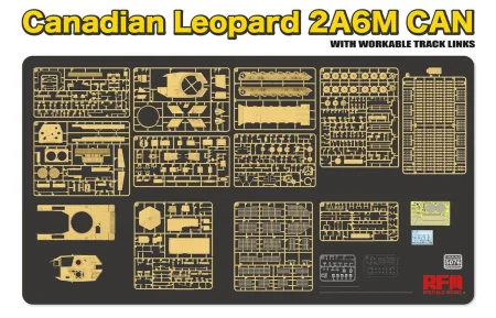 RFM-5076-Canadian Leopard 2A6M CAN (2).jpg