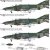 FINE MOLDS-FP42-RF-4EJ JASDF (3).jpg