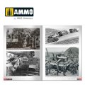 AMMO MIG 6273 - Tigers. Modelling the Ryefield Family (3).jpg