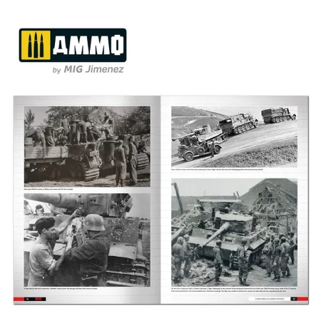 AMMO MIG 6273 - Tigers. Modelling the Ryefield Family (3).jpg