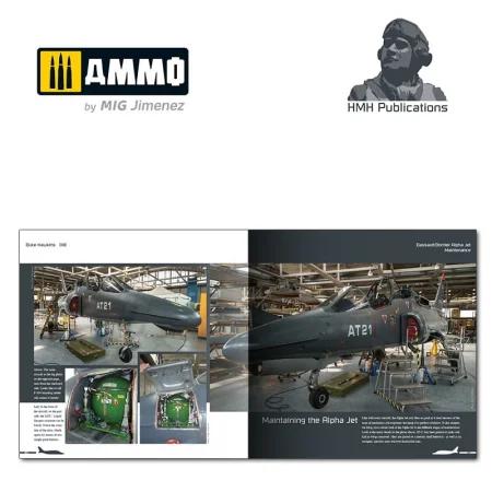HMH PUBLICATIONS-DH018 (4).jpg