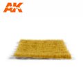 AK8125-3-1.jpg