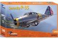 DORA WINGS-DW48012-Seversky P-35 (1).jpg