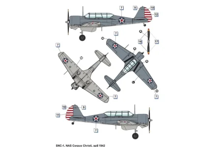 DORA WINGS-DW48041 (3).jpg