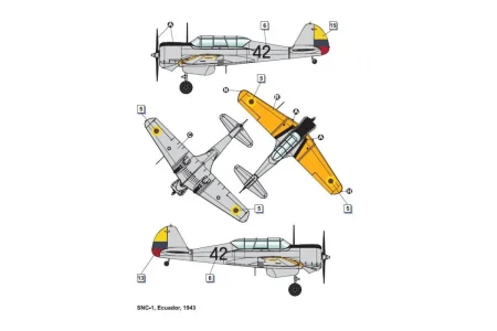 DORA WINGS-DW48041 (5).jpg