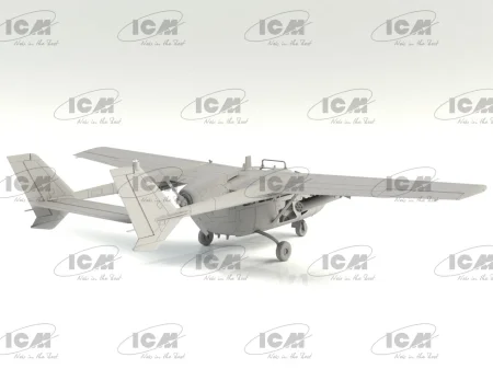 icm-DS4803 (4).jpg