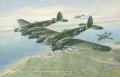 roden-346 (1).jpg