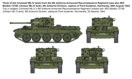ibg-72102 (3).jpg