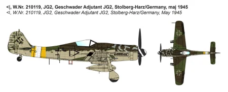 ibg-72531 (1).jpg