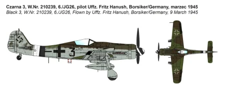 ibg-72531 (3).jpg