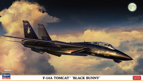 Go to product HASEGAWA 02377 - 1:72 F-14A Tomcat Black Bunny