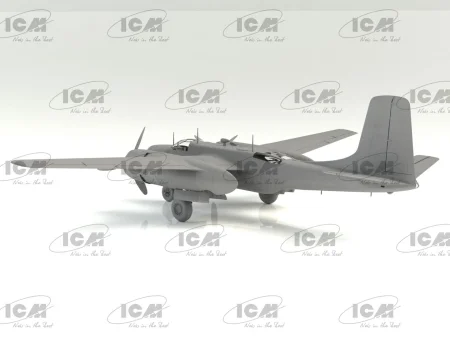 icm-48287 (4).jpg