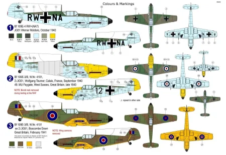 AZ7689_kamo.jpg