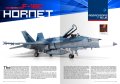 AK2941-aggressor (2).jpg