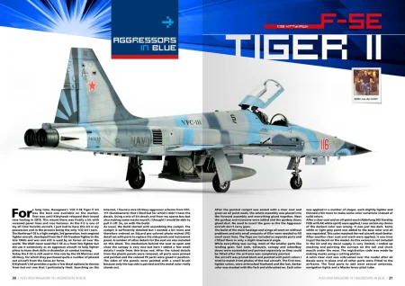 AK2941-aggressor (4).jpg