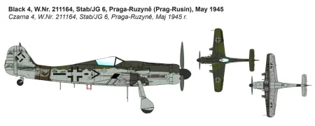 ibg72545 (2).jpg
