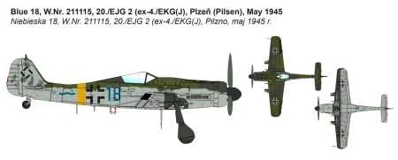 ibg72545 (3).jpg