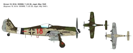 ibg72536 (1).jpg