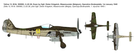 ibg72536 (2).jpg