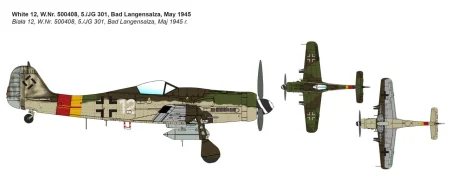 ibg72536 (3).jpg