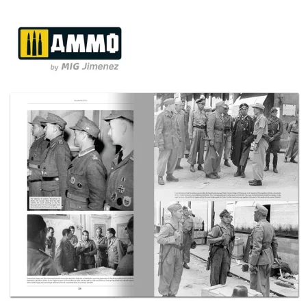 italienfeldzug-german-tanks-and-vehicles-1943-1945-vol-39.jpg