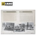tiger-ausfe-visual-modelers-guide-multilingual1.jpg