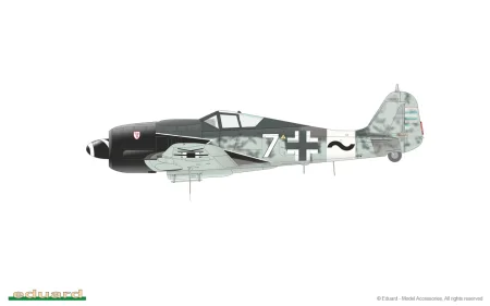 eduard-82145 (10).jpg