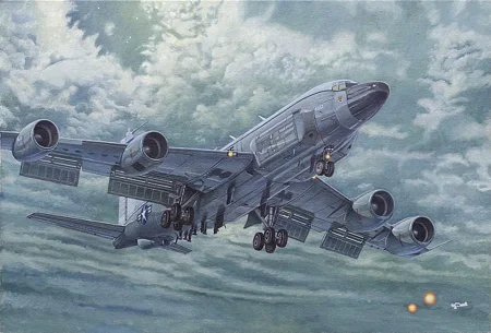 roden-349.jpg