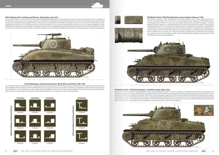 AK-642 (9).jpg