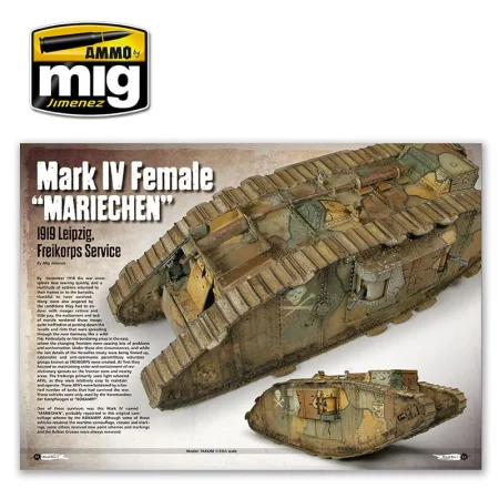 AMIG6011 (4).jpg