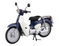 Fujimi-141961 1.jpg