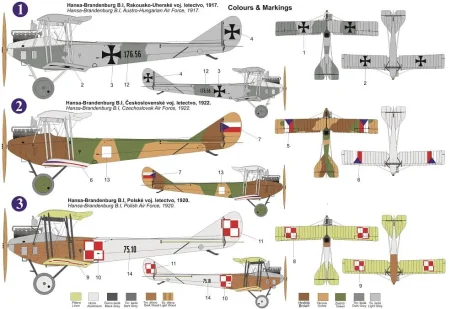 AZ7830_kamo.jpg