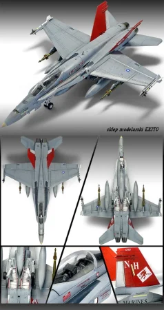Kopia (3) 12520_fa18a_main.jpg