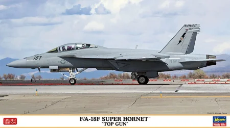 hasegawa-02404-fa-18f-super-hornet.jpg