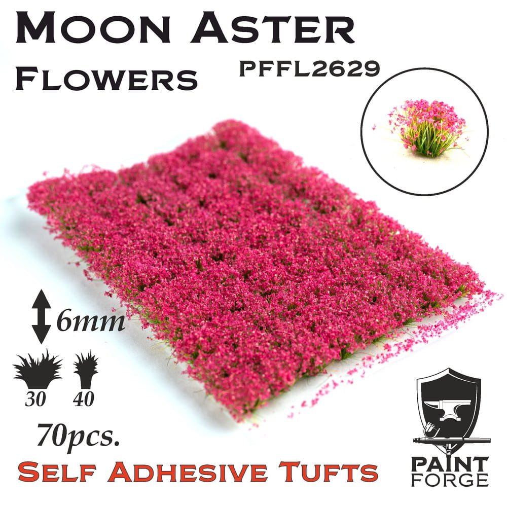 PFFL2629 Moon Aster Flowers.jpg