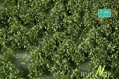 Go to product Mininatur 724-22S - Strawberry blackberry bushes lato