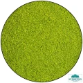 saw-dust-scatter-light-green-scatter_600x.webp