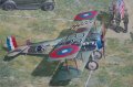 roden-636.jpg