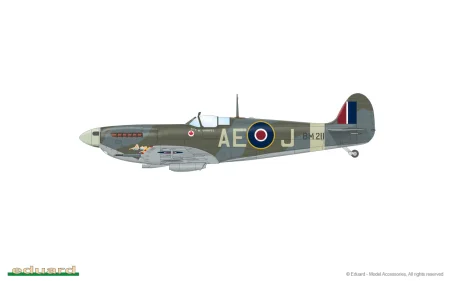 84186-01.jpg