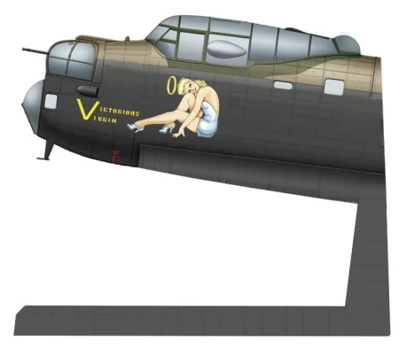 Border-BF008 (2).jpg