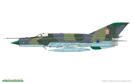 camo-e.jpg