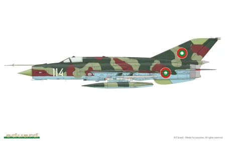 camo-f.jpg
