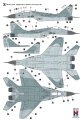 h2000-48022-mig-29-german (1).jpg