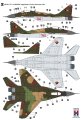 h2000-48022-mig-29-german (2).jpg