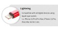 DSPIAE-USB-LTG1 (2).jpg