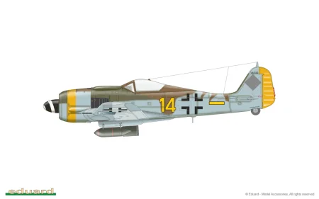 70119_d.jpg