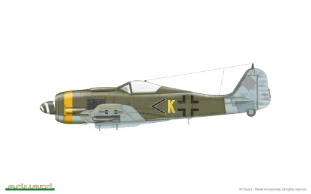 70119_e.jpg