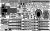 35033f1-12.jpg